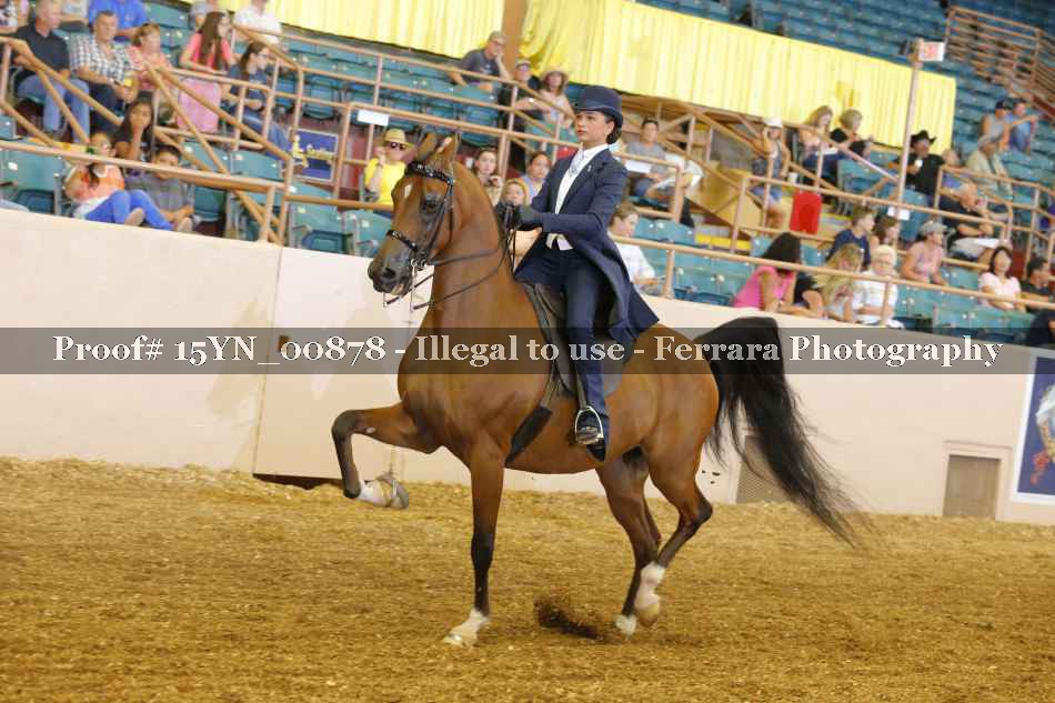 Proof 15YN_00878