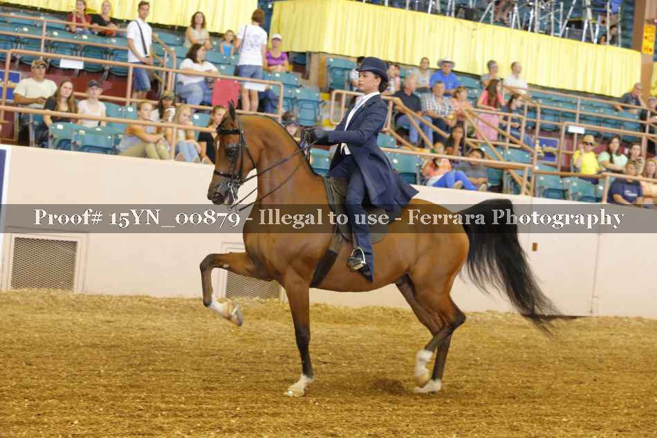 Proof 15YN_00879