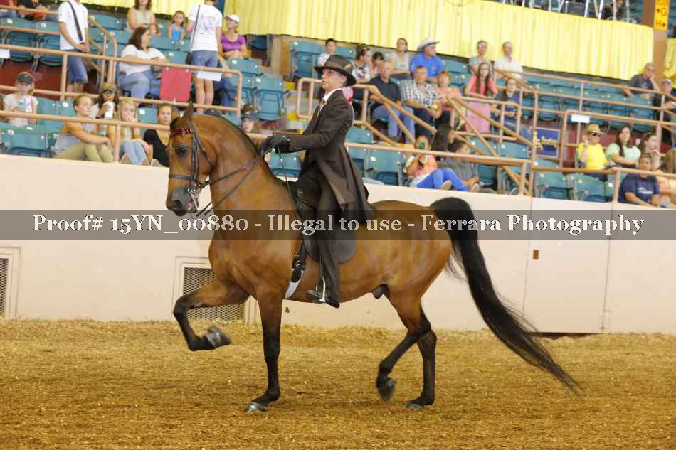 Proof 15YN_00880