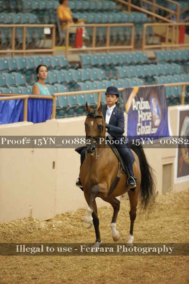 Proof 15YN_00882