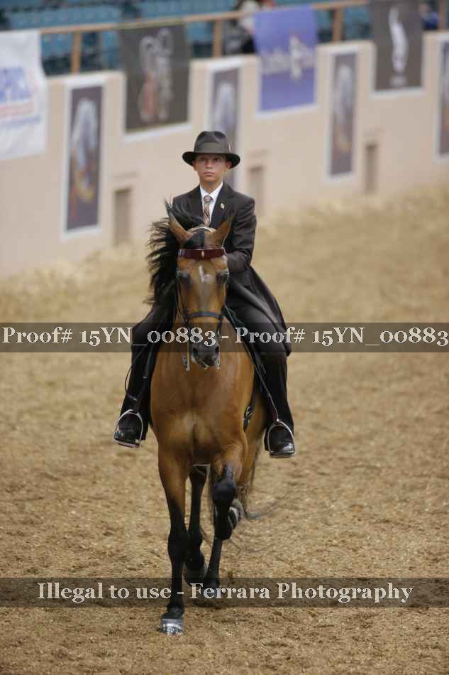 Proof 15YN_00883