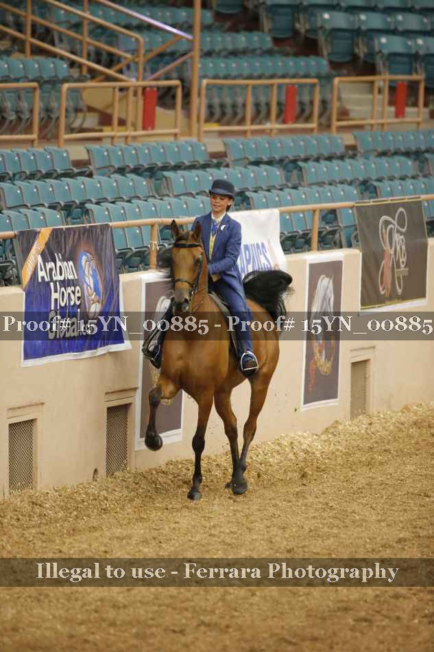 Proof 15YN_00885