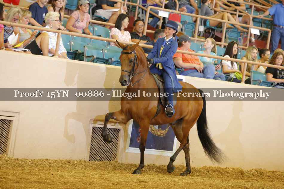 Proof 15YN_00886