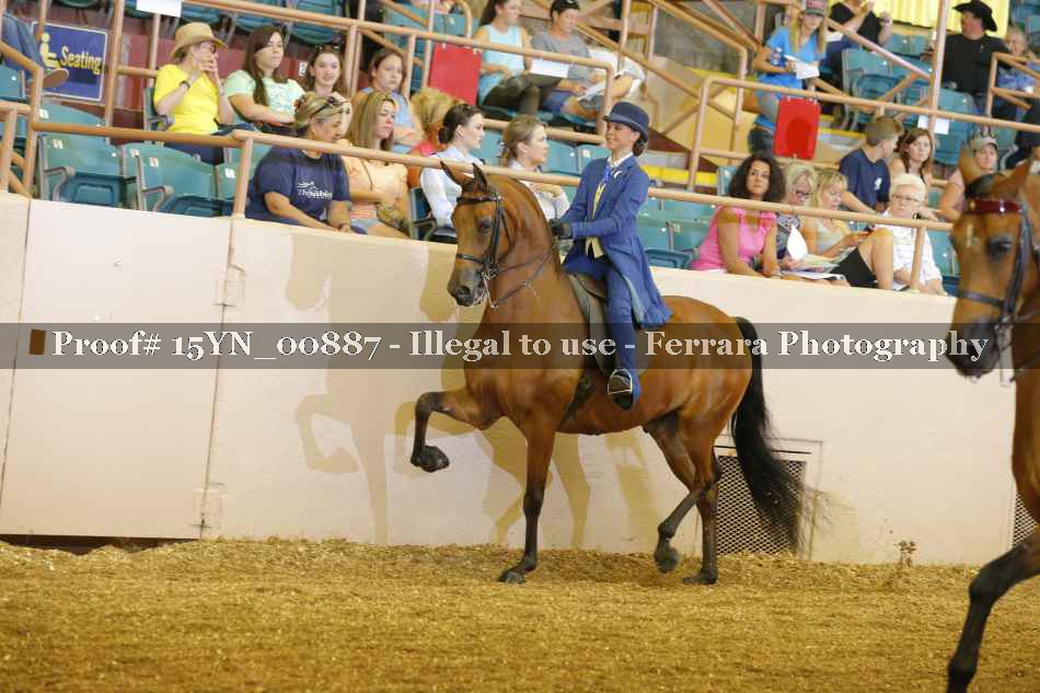 Proof 15YN_00887