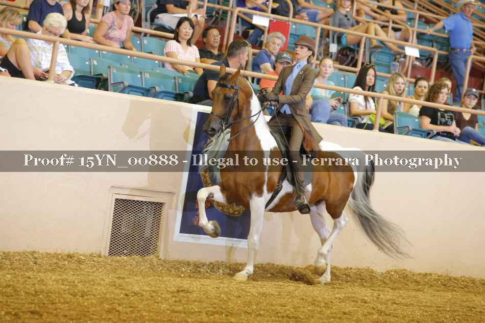 Proof 15YN_00888