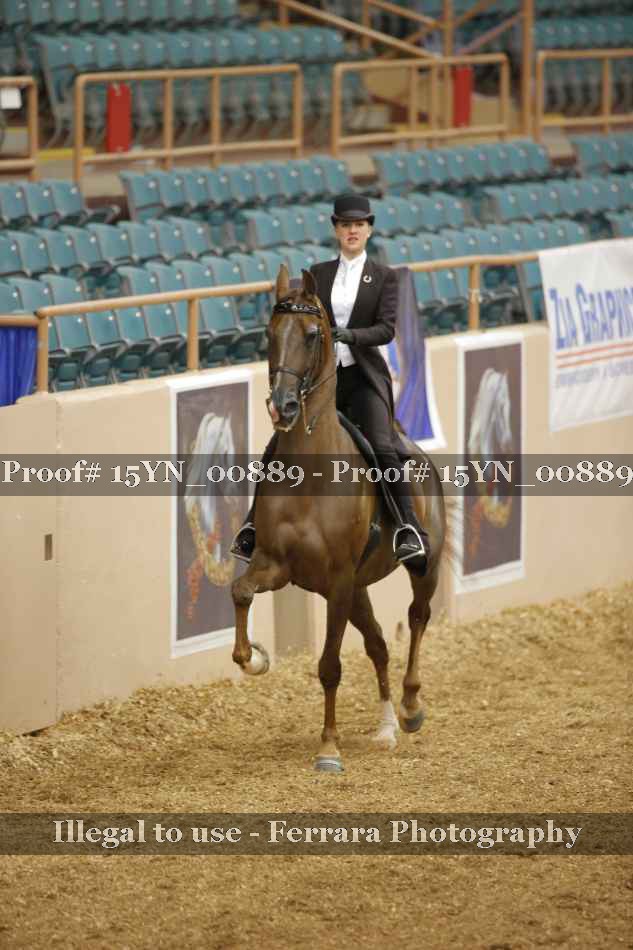 Proof 15YN_00889