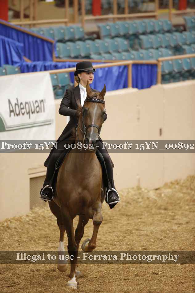 Proof 15YN_00892