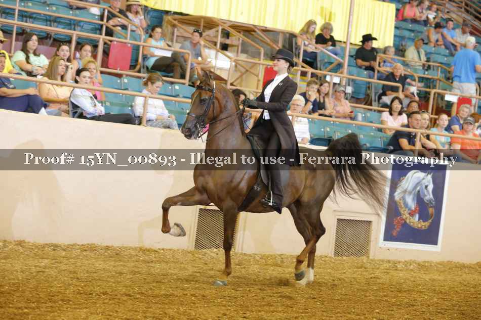 Proof 15YN_00893