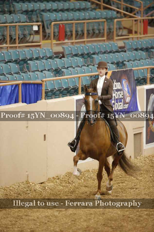 Proof 15YN_00894