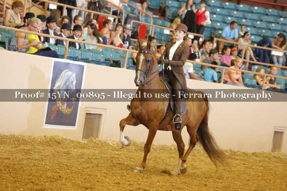 Proof 15YN_00895