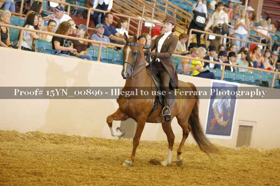 Proof 15YN_00896