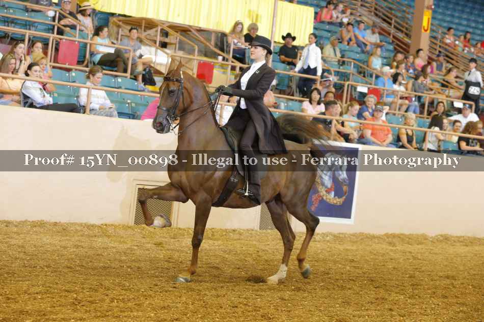 Proof 15YN_00898