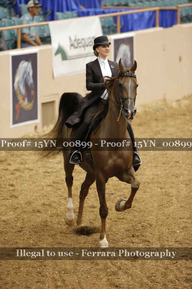 Proof 15YN_00899