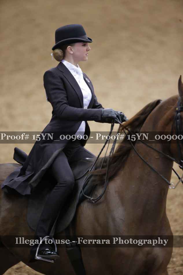 Proof 15YN_00900