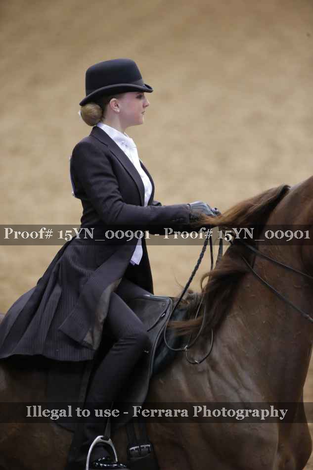 Proof 15YN_00901