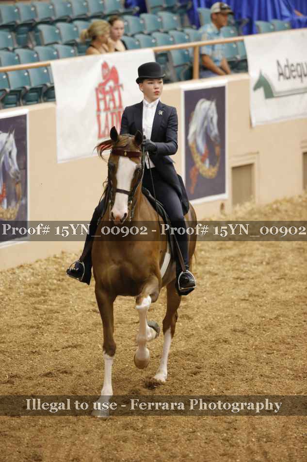 Proof 15YN_00902