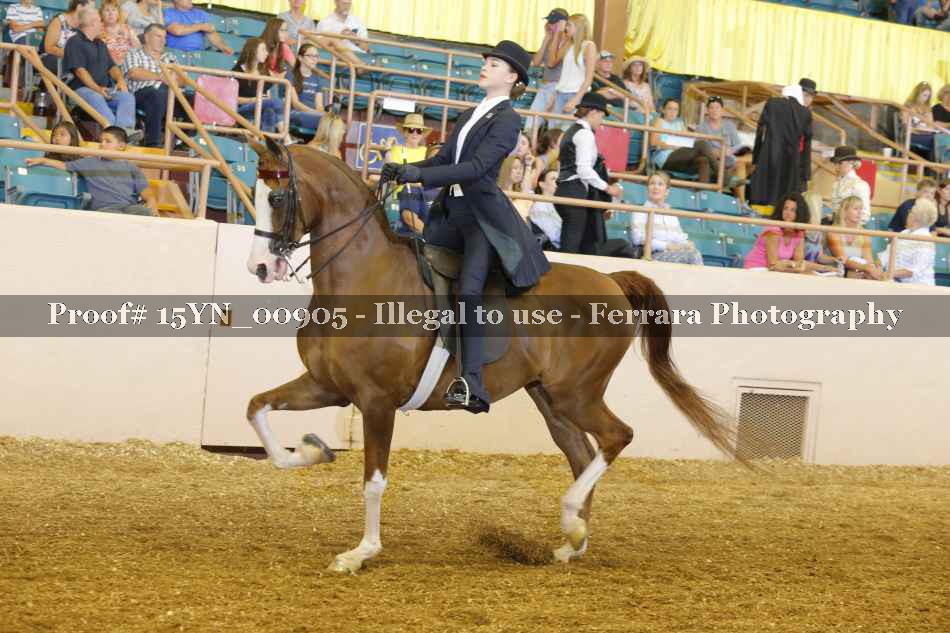 Proof 15YN_00905