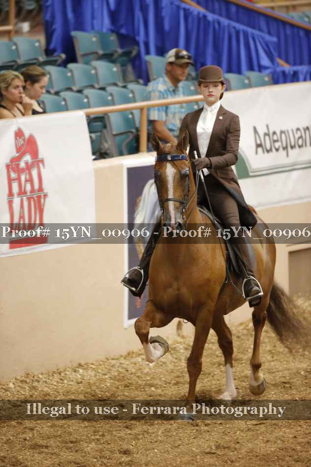 Proof 15YN_00906