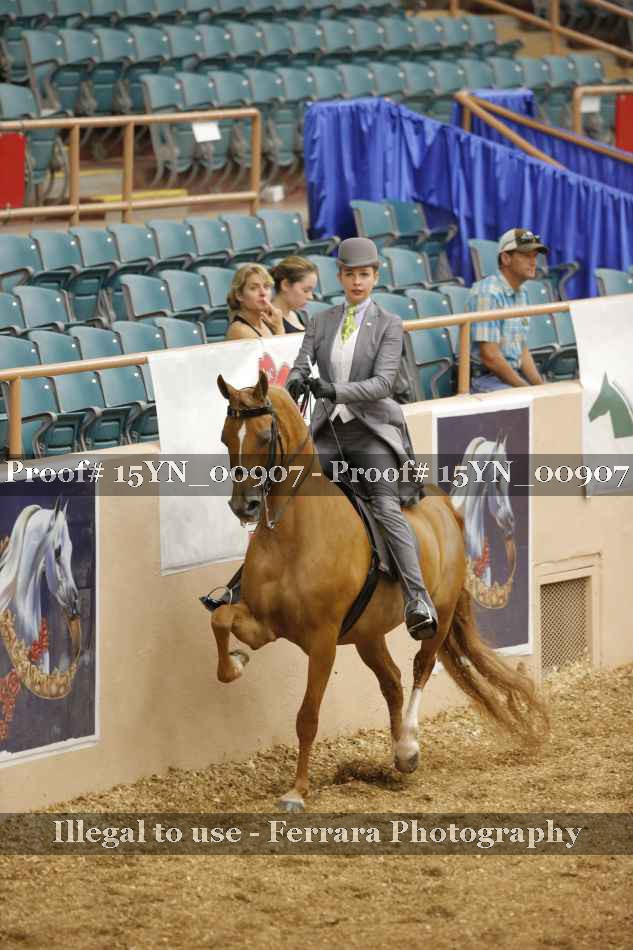 Proof 15YN_00907
