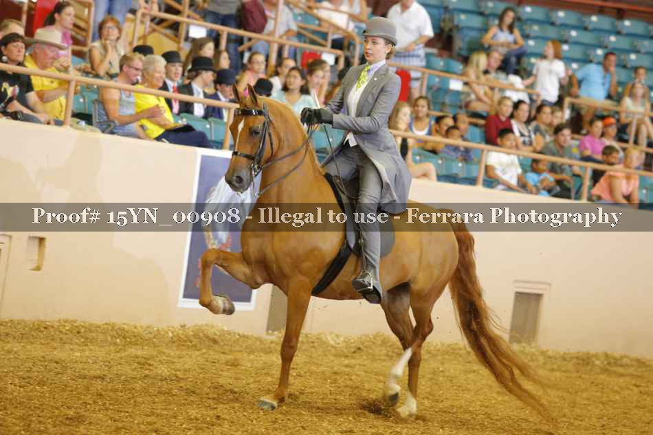 Proof 15YN_00908