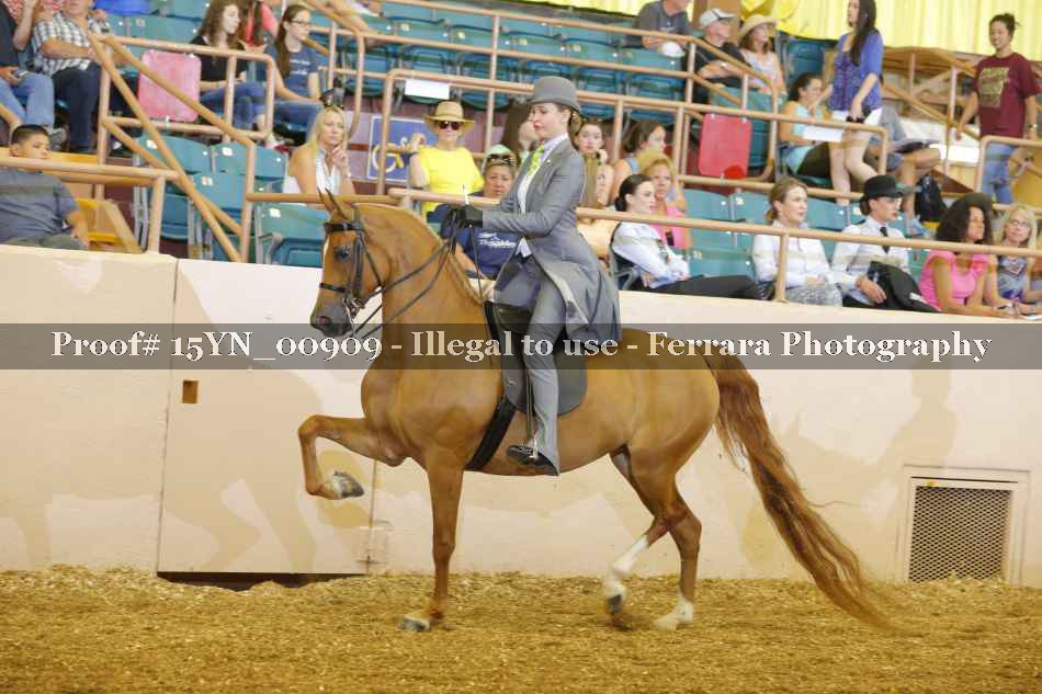 Proof 15YN_00909