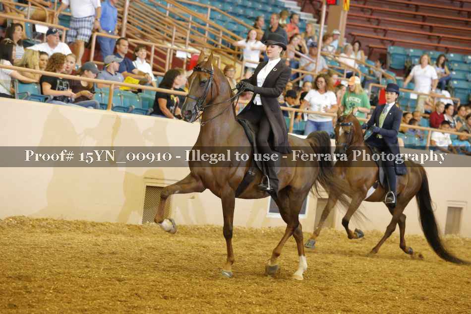 Proof 15YN_00910
