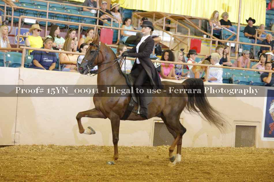 Proof 15YN_00911