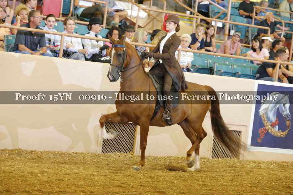 Proof 15YN_00916
