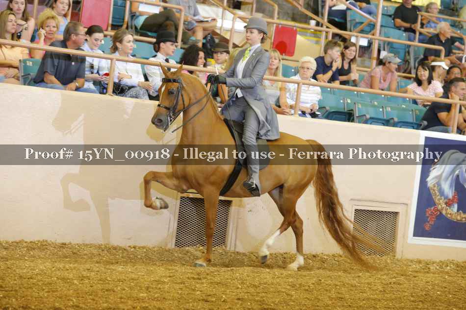 Proof 15YN_00918
