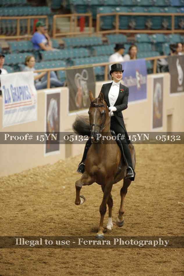 Proof 15YN_05132