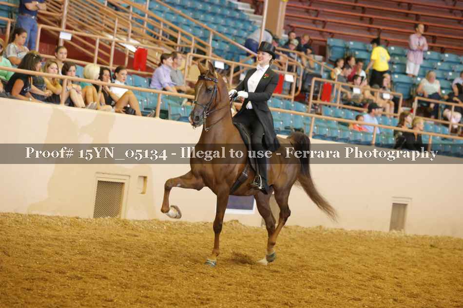 Proof 15YN_05134