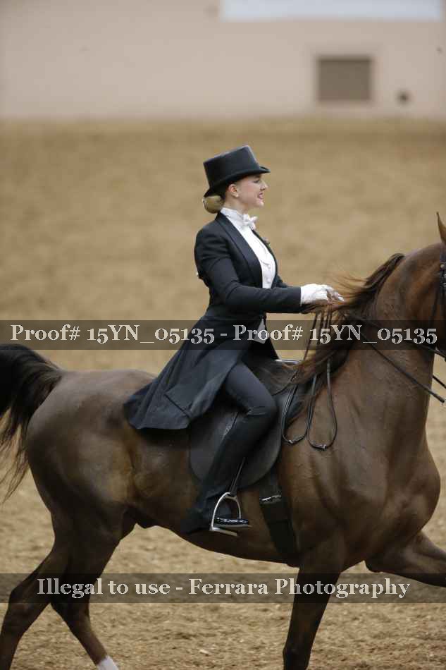 Proof 15YN_05135