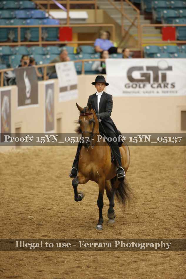 Proof 15YN_05137