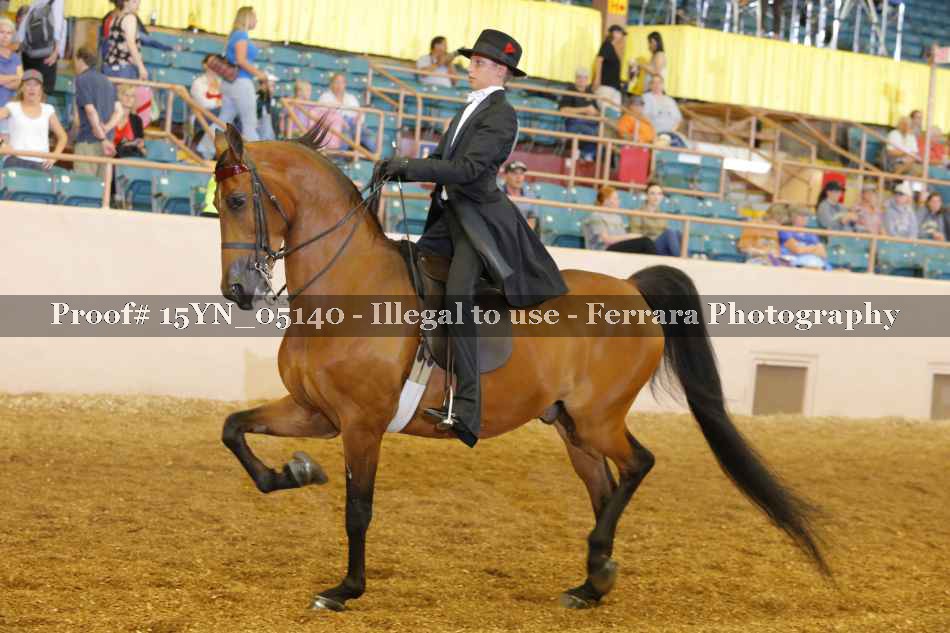 Proof 15YN_05140