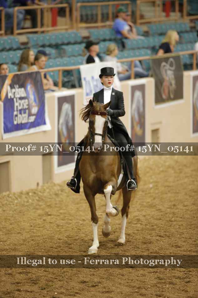 Proof 15YN_05141