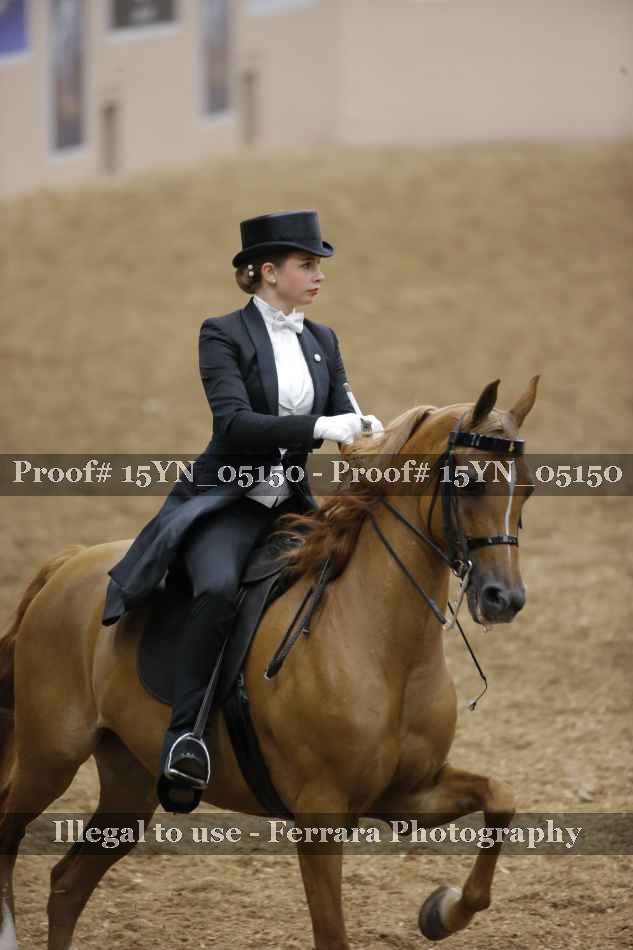 Proof 15YN_05150