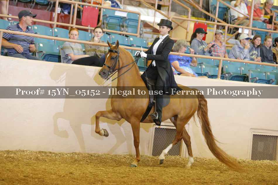 Proof 15YN_05152