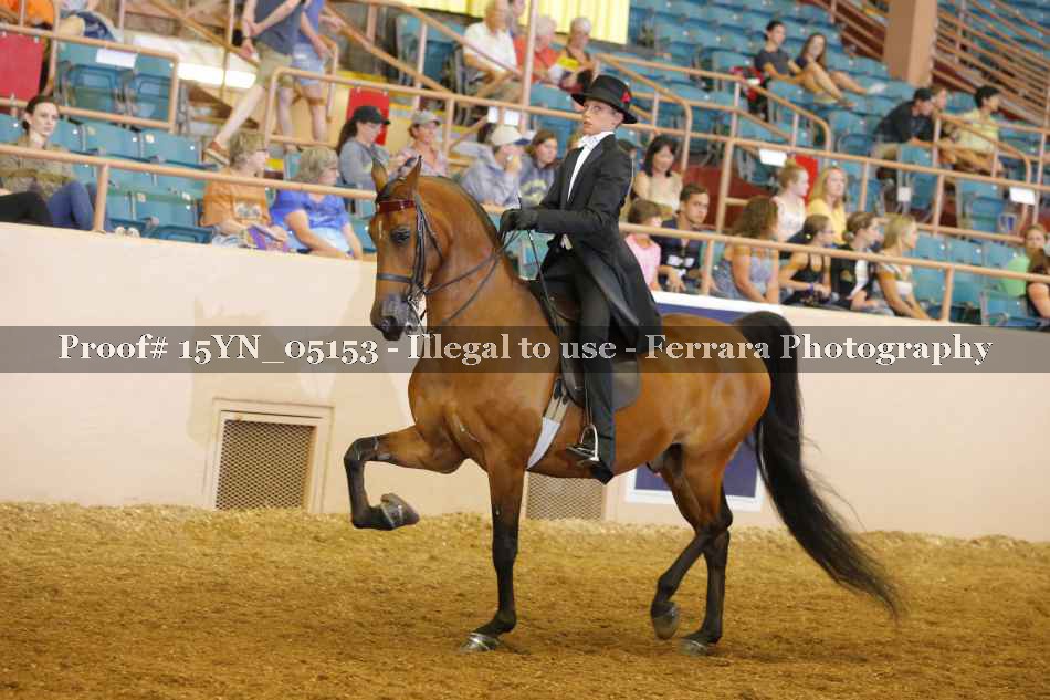 Proof 15YN_05153