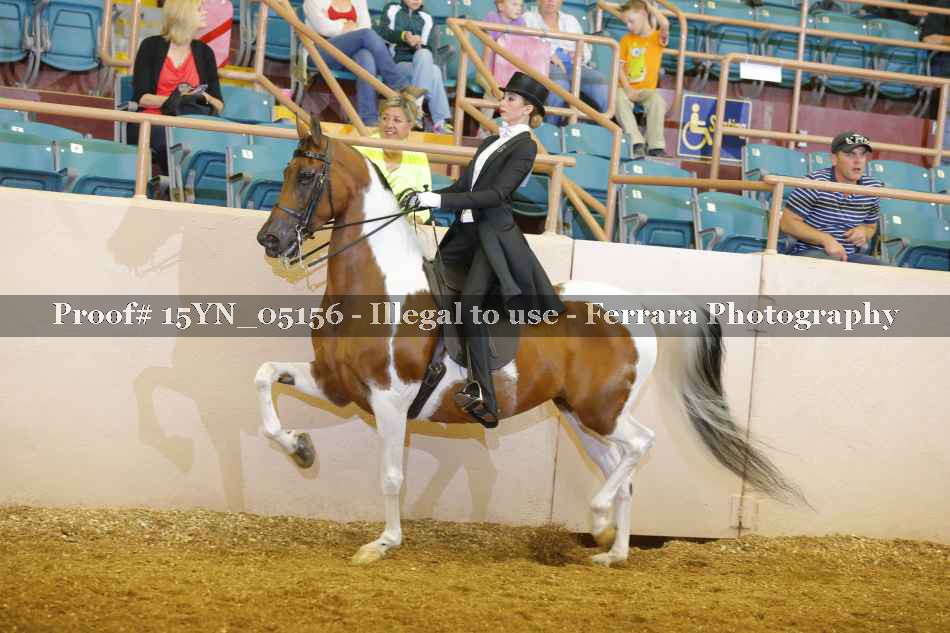 Proof 15YN_05156