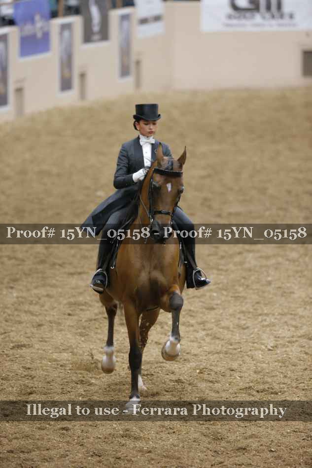 Proof 15YN_05158