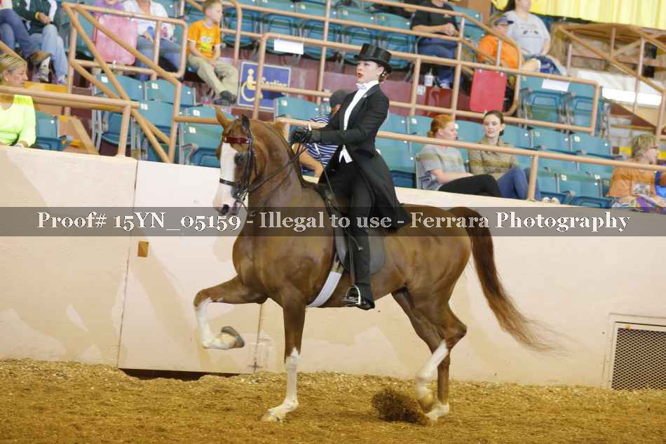 Proof 15YN_05159