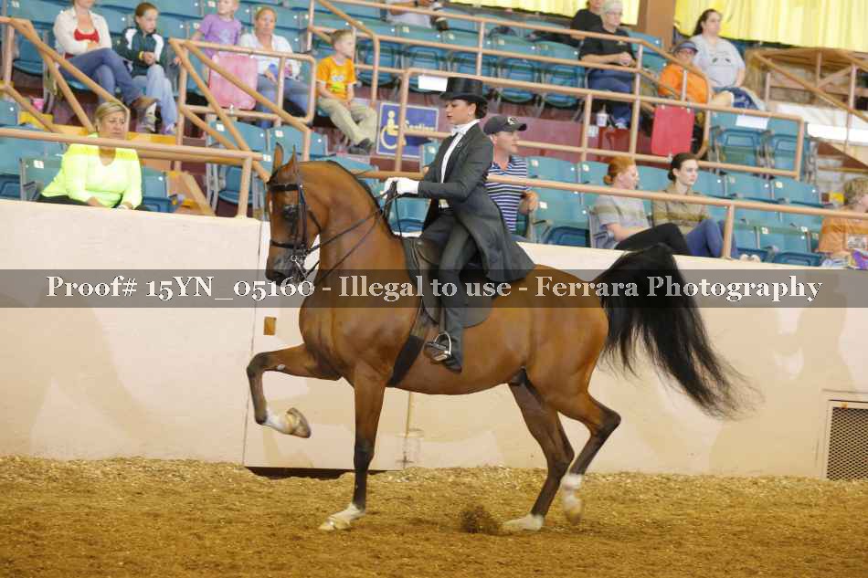 Proof 15YN_05160