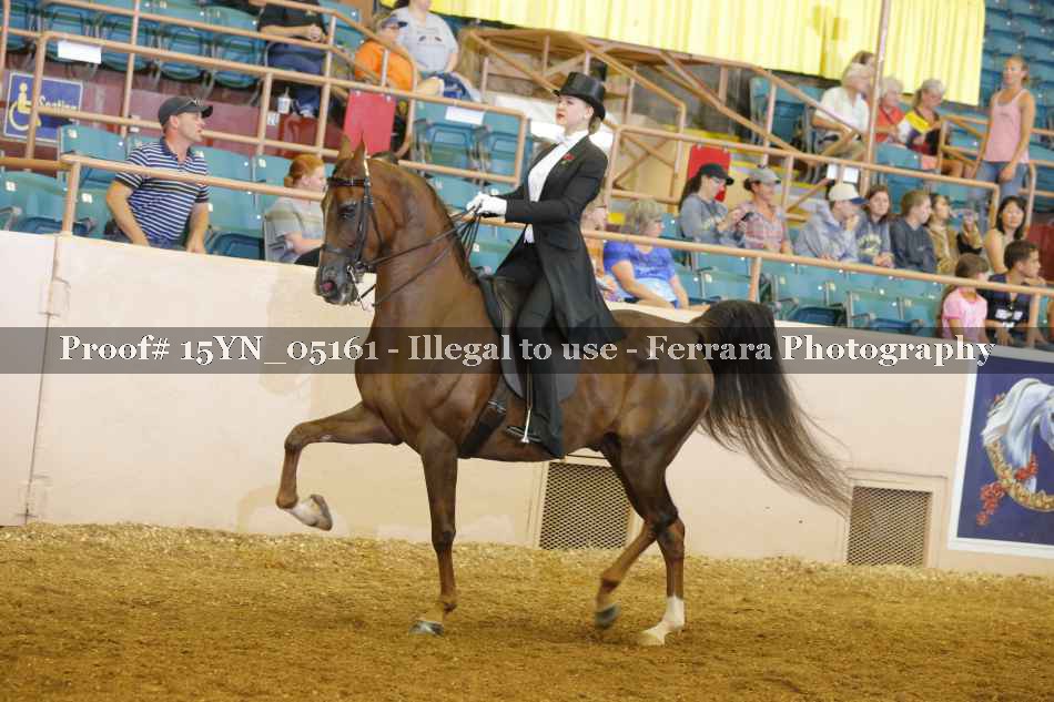 Proof 15YN_05161