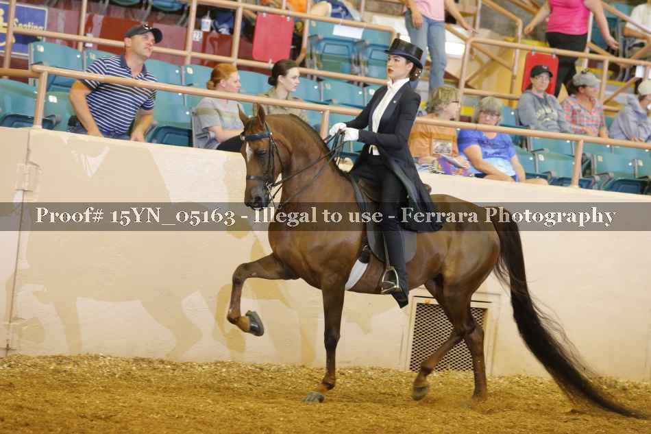 Proof 15YN_05163