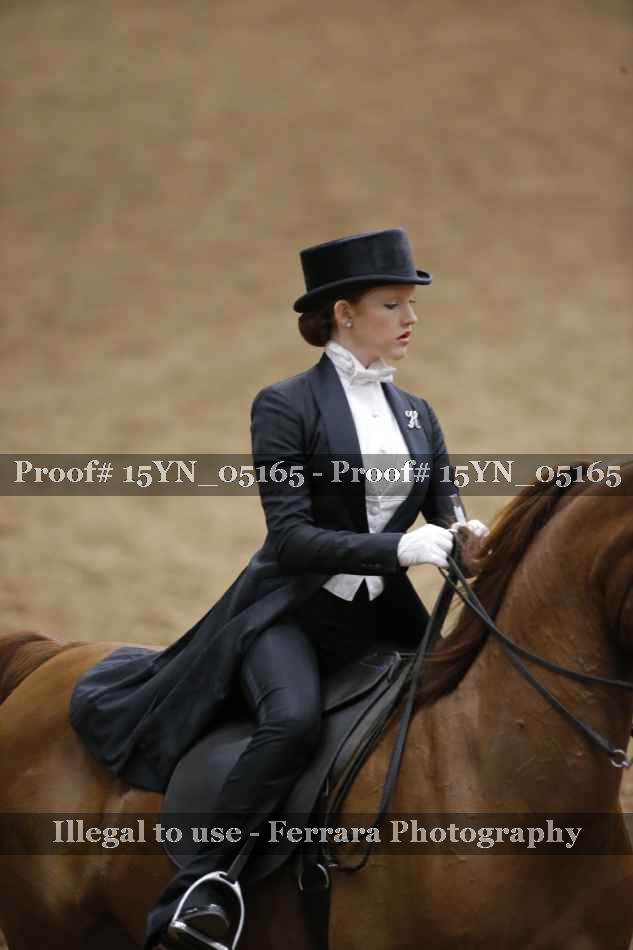 Proof 15YN_05165