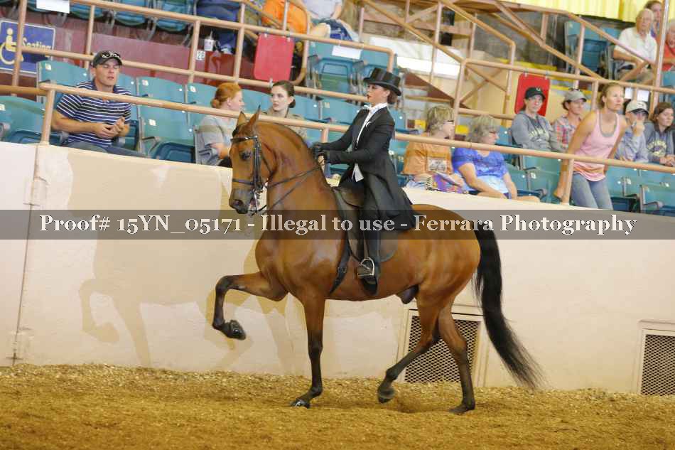 Proof 15YN_05171