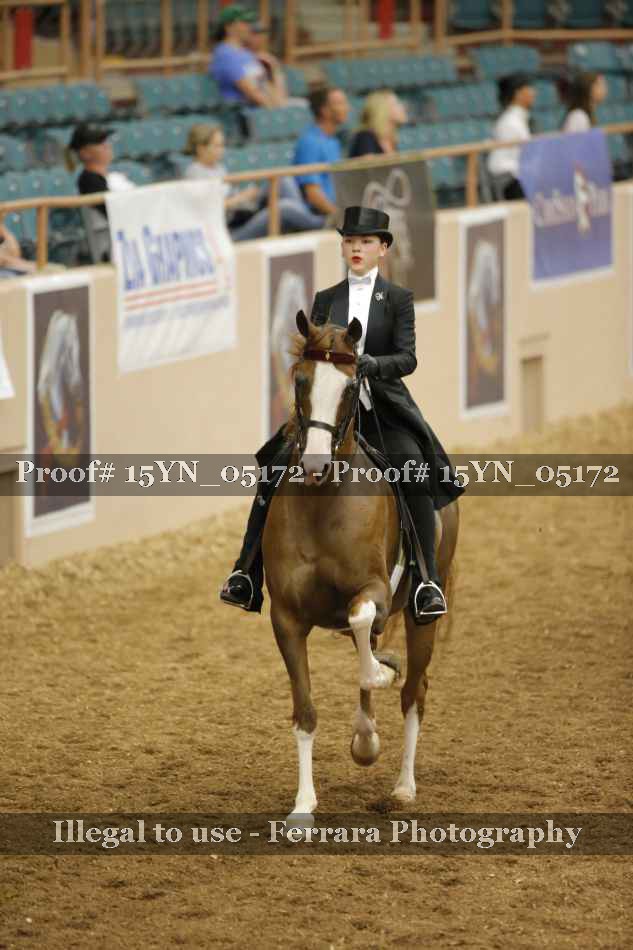 Proof 15YN_05172