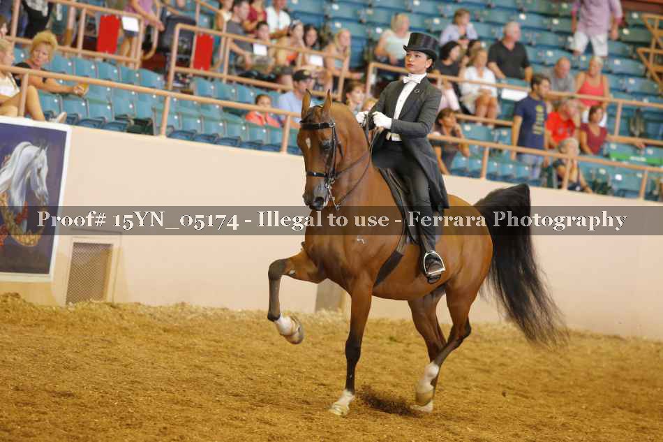Proof 15YN_05174
