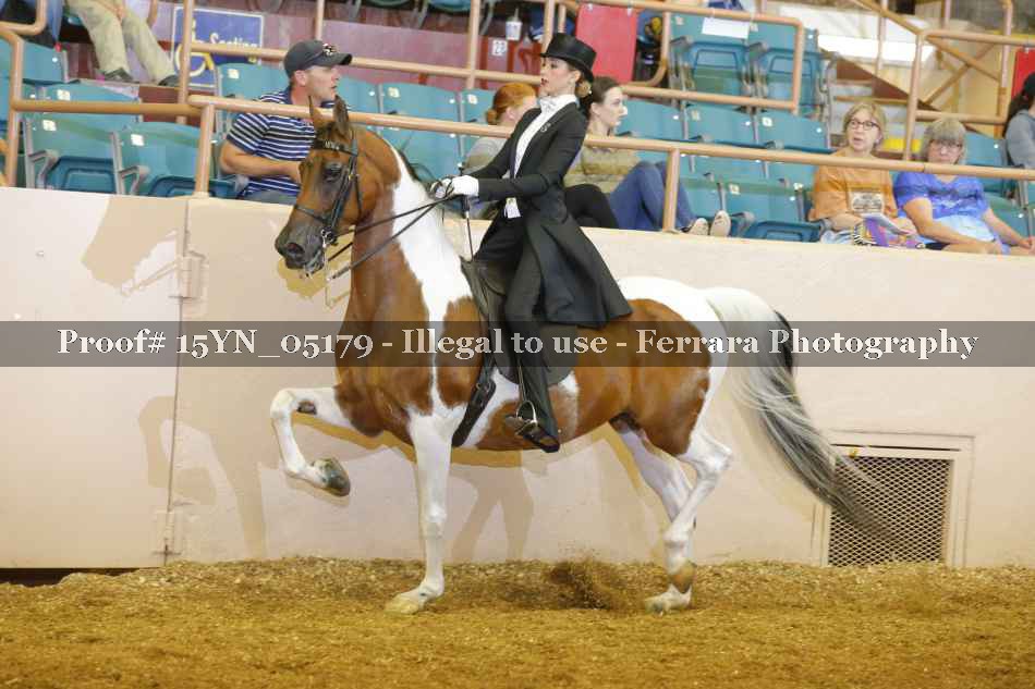 Proof 15YN_05179