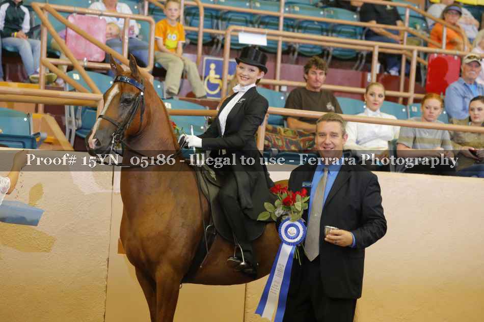 Proof 15YN_05186